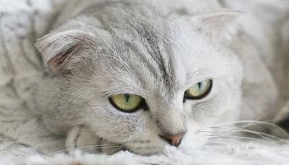 乌海伴游，定制QQ：3494206190微信：act1322